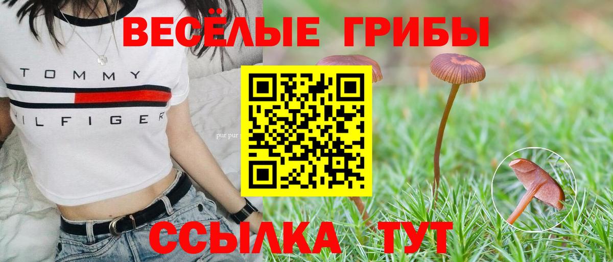 Галлюциногенные грибы Cubensis  Вход с VPN  Каменск-Уральский 