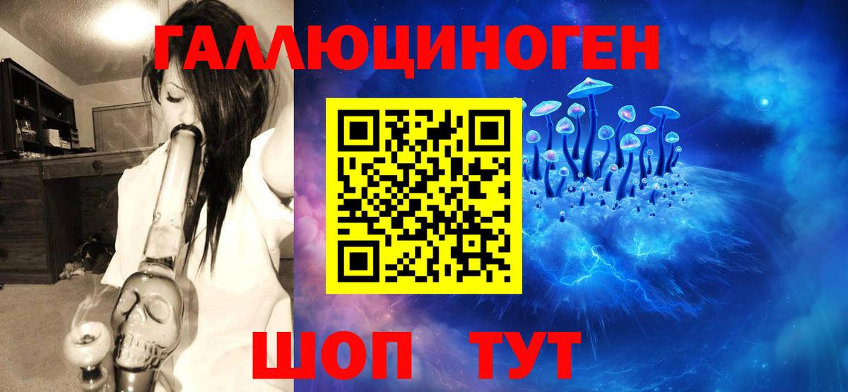 Галлюциногенные грибы Psilocybine cubensis Каменск-Уральский